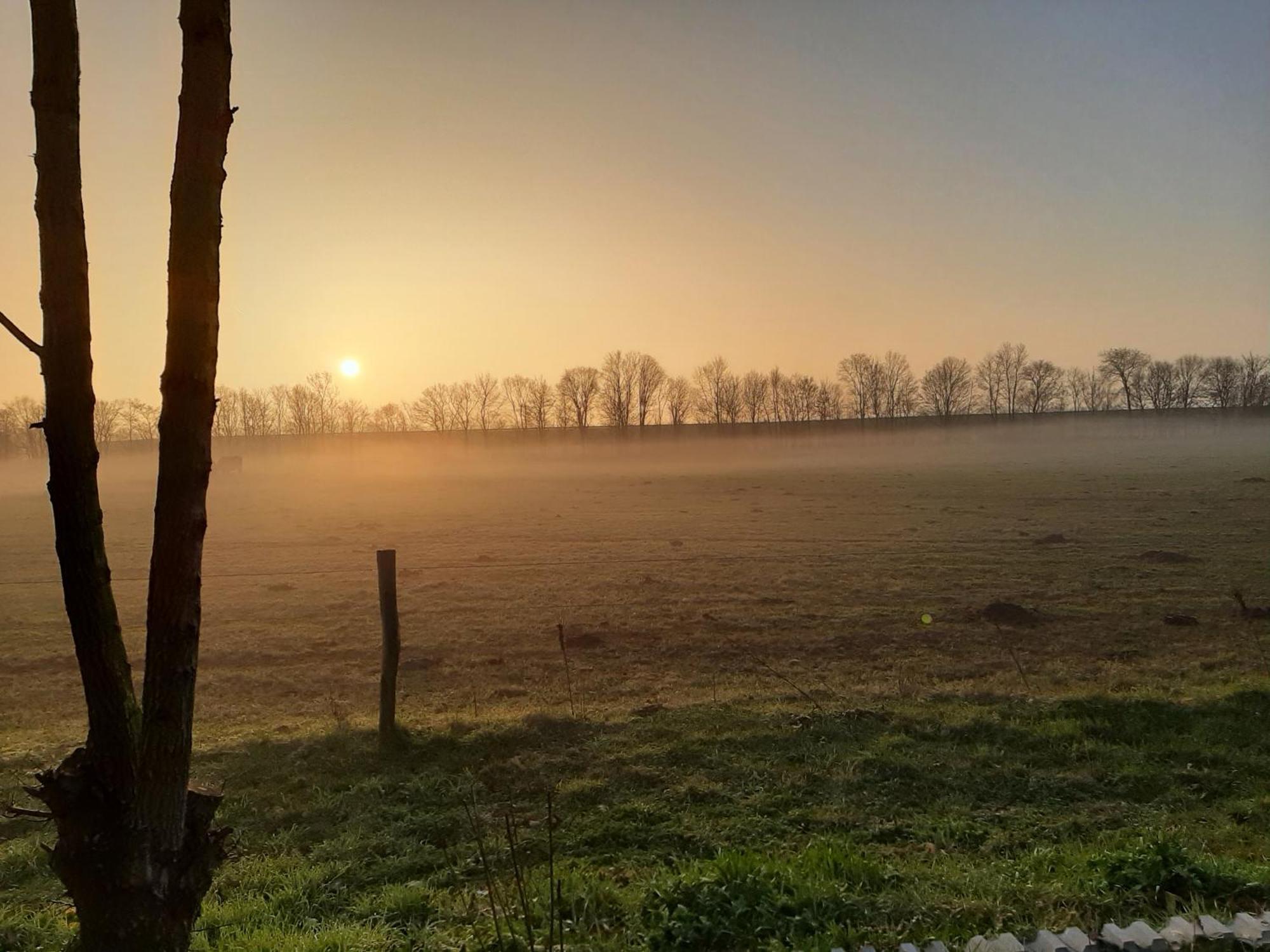 Biesboschbest Werkendam ภายนอก รูปภาพ
